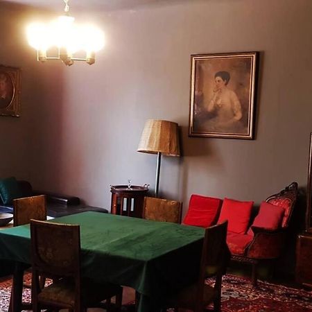 Josephine Central Villa & Garden Κλουζ-Ναπόκα Εξωτερικό φωτογραφία